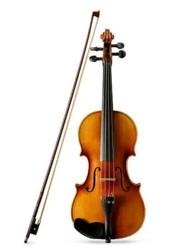 Violin