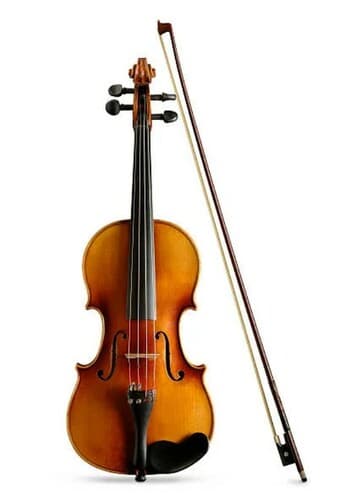 Violin