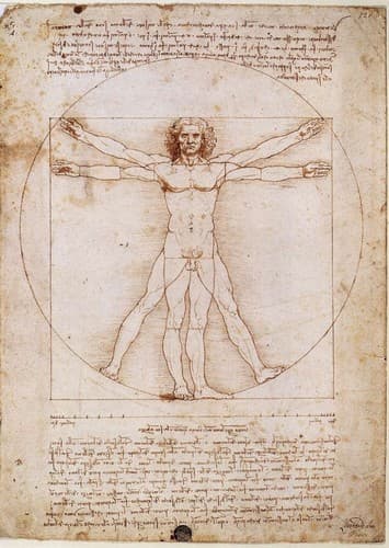 Vitruvian Man