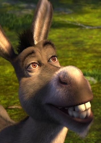 Voice of Donkey