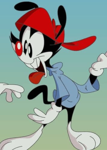 Wakko