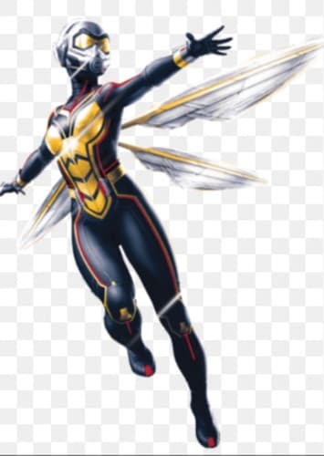 Wasp