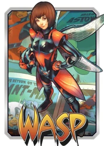 Wasp