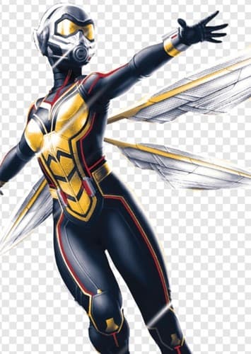 Wasp