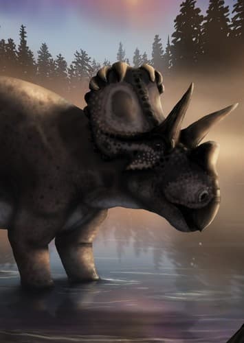Wendiceratops