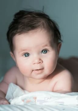 Wesley Lewandowski Rosemary