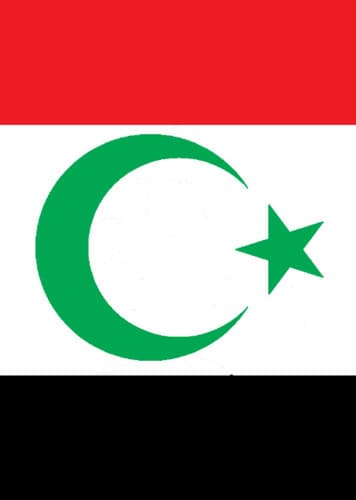 Asian, Southwest / Middle Eastern