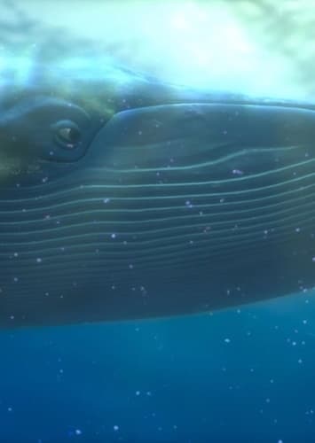 Whale