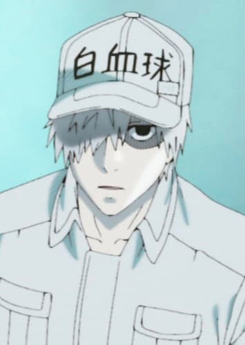 White Blood Cell