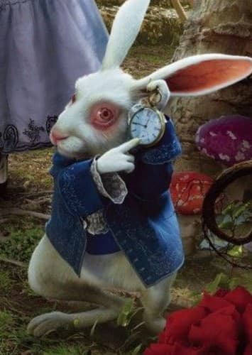 White Rabbit