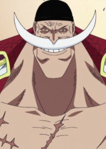 Whitebeard