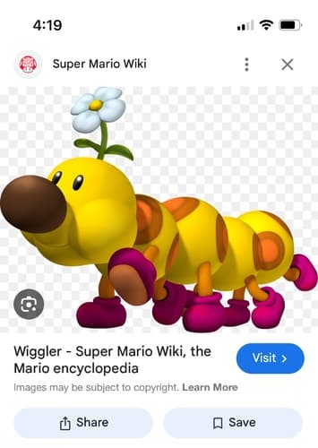 Wiggler