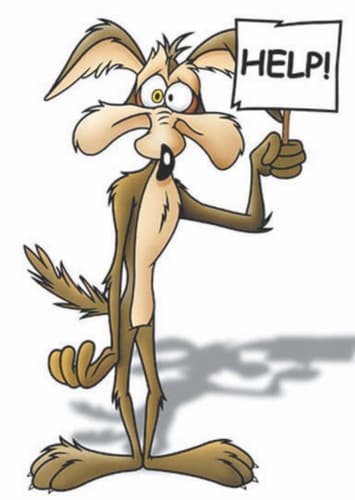 Wile E Coyote