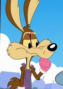 Wile E Coyote