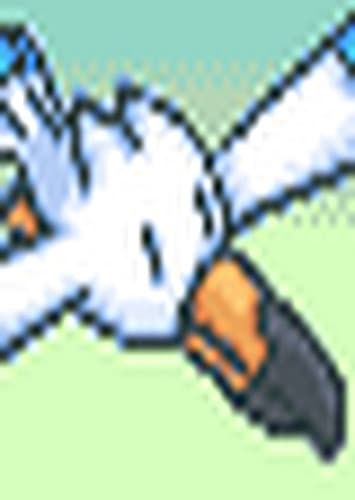 Wingull (English Dub)