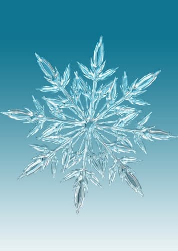 Winter Event Skylanders