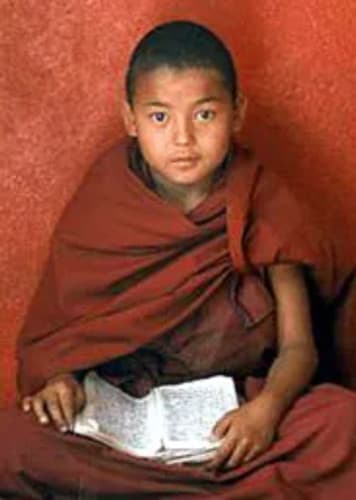 Wise Beyond Their Years