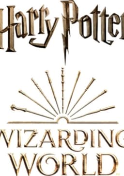Wizarding World