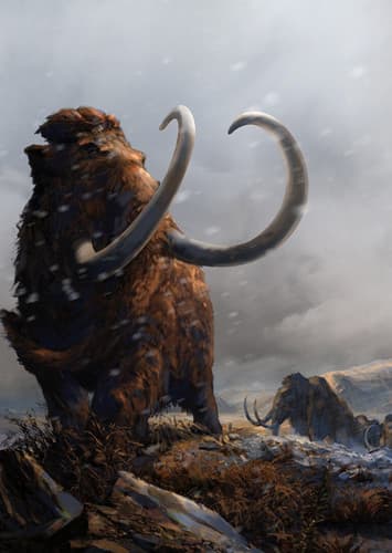 Wolly Mammoth