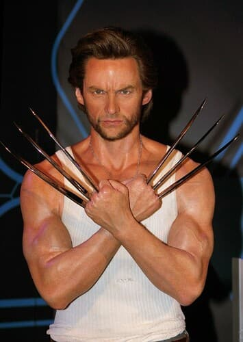 Wolverine