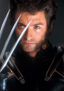 Wolverine