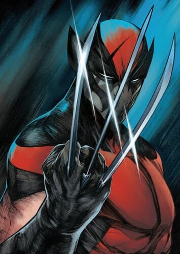 Wolverine/Winter Soldier