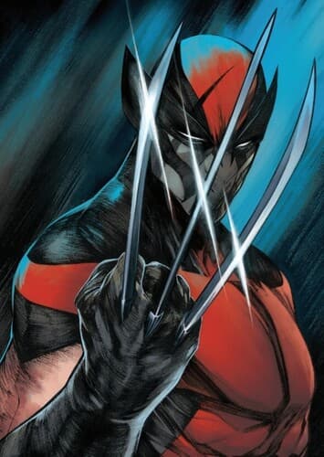 Wolverine/Winter Soldier