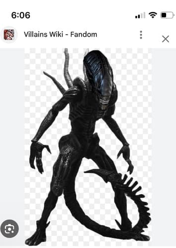 Xenomorph