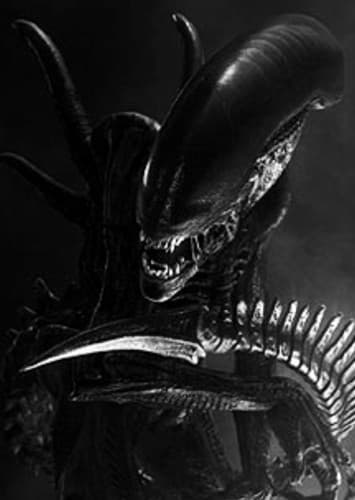 Xenomorph