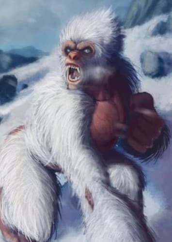 Yeti
