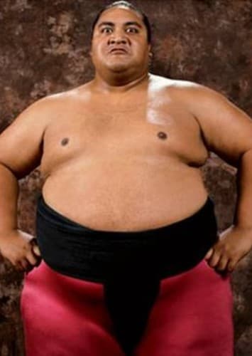 Yokozuna