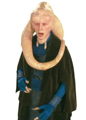 Bib Fortuna
