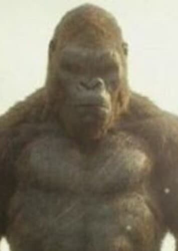 (Young) Kong