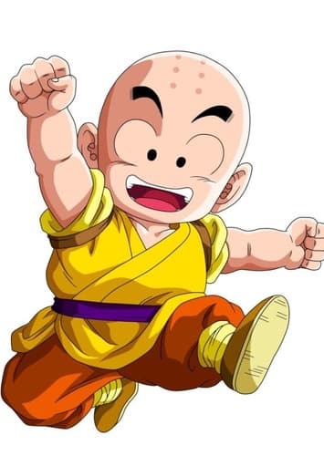 Kid Krillin