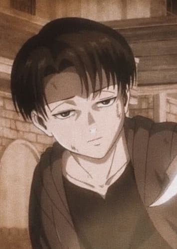 Young Levi