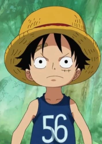Young Luffy