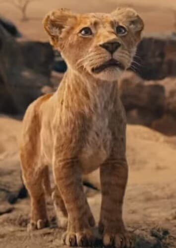 Young Mufasa