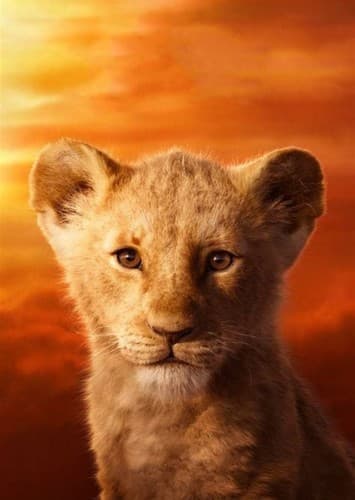 Young Simba