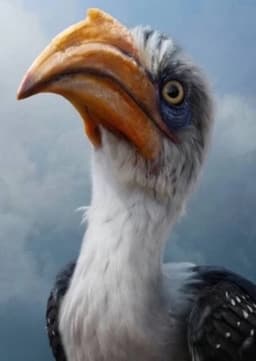 Zazu