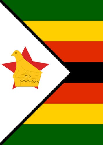 Zimbabwean