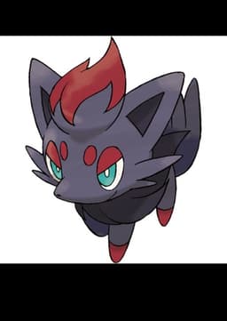 Zorua
