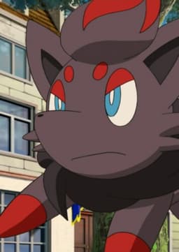 Zorua