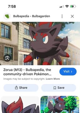 Zorua