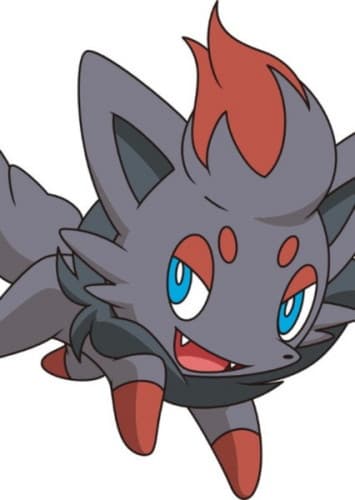 Zorua