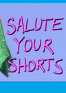 Salute Your Shorts (season 3)