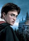 Harry Potter: Iron Magician