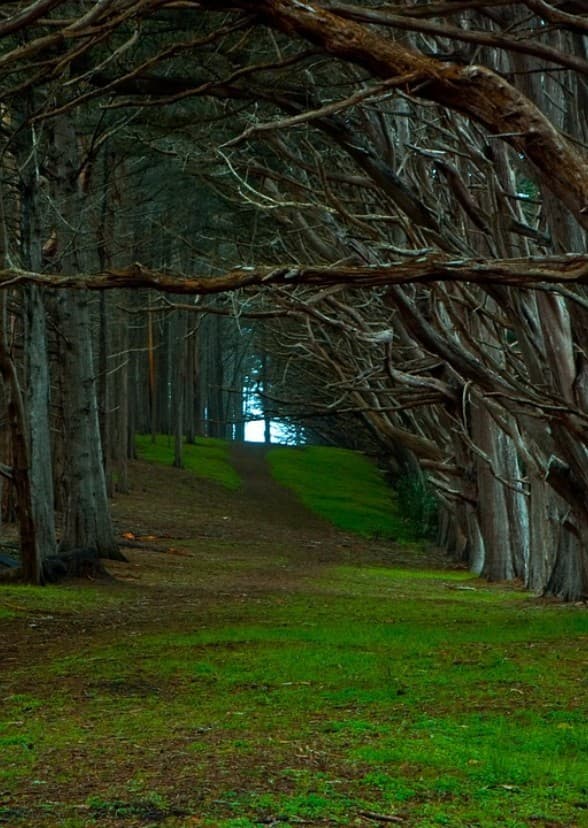 Disney's Three Tales