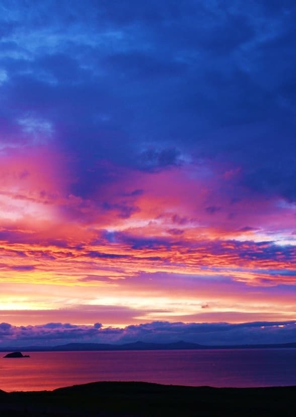 Audrey Collins: 6th grade story