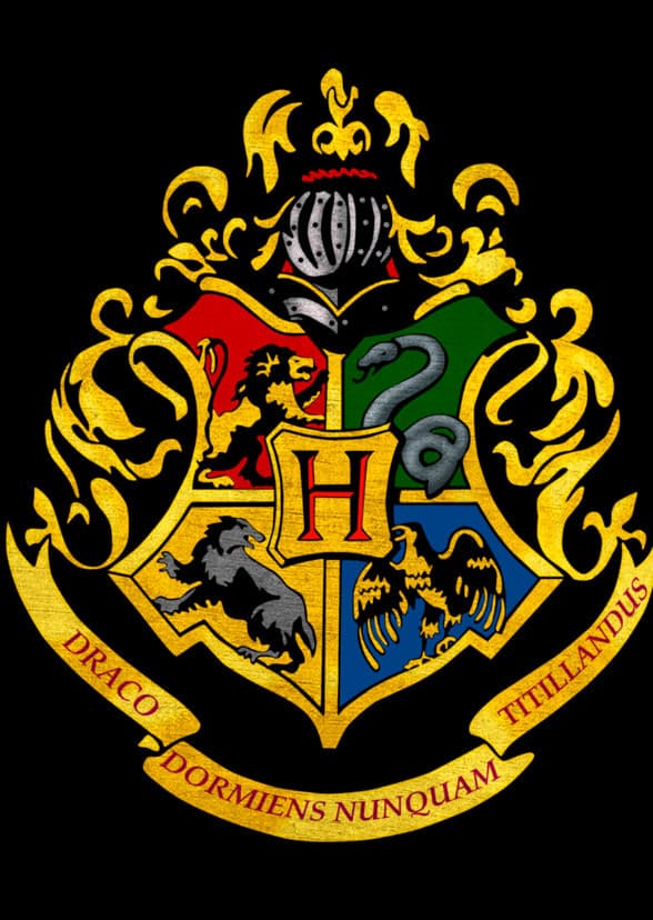 A Year at Hogwarts