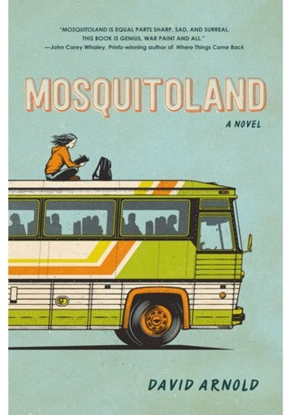 Mosquitoland